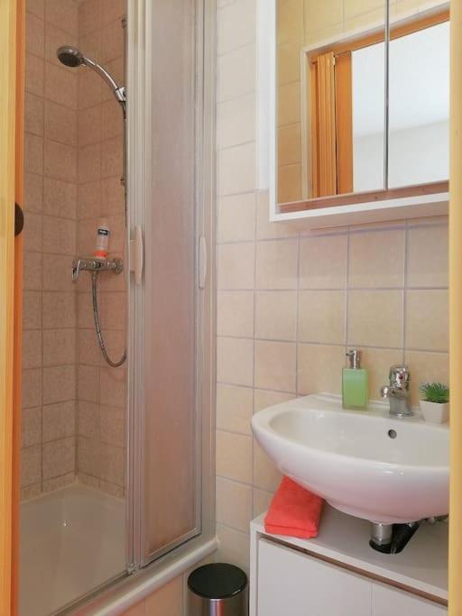 Ferienwohnung Fuer Naturfreunde Rathmannsdorf Екстер'єр фото