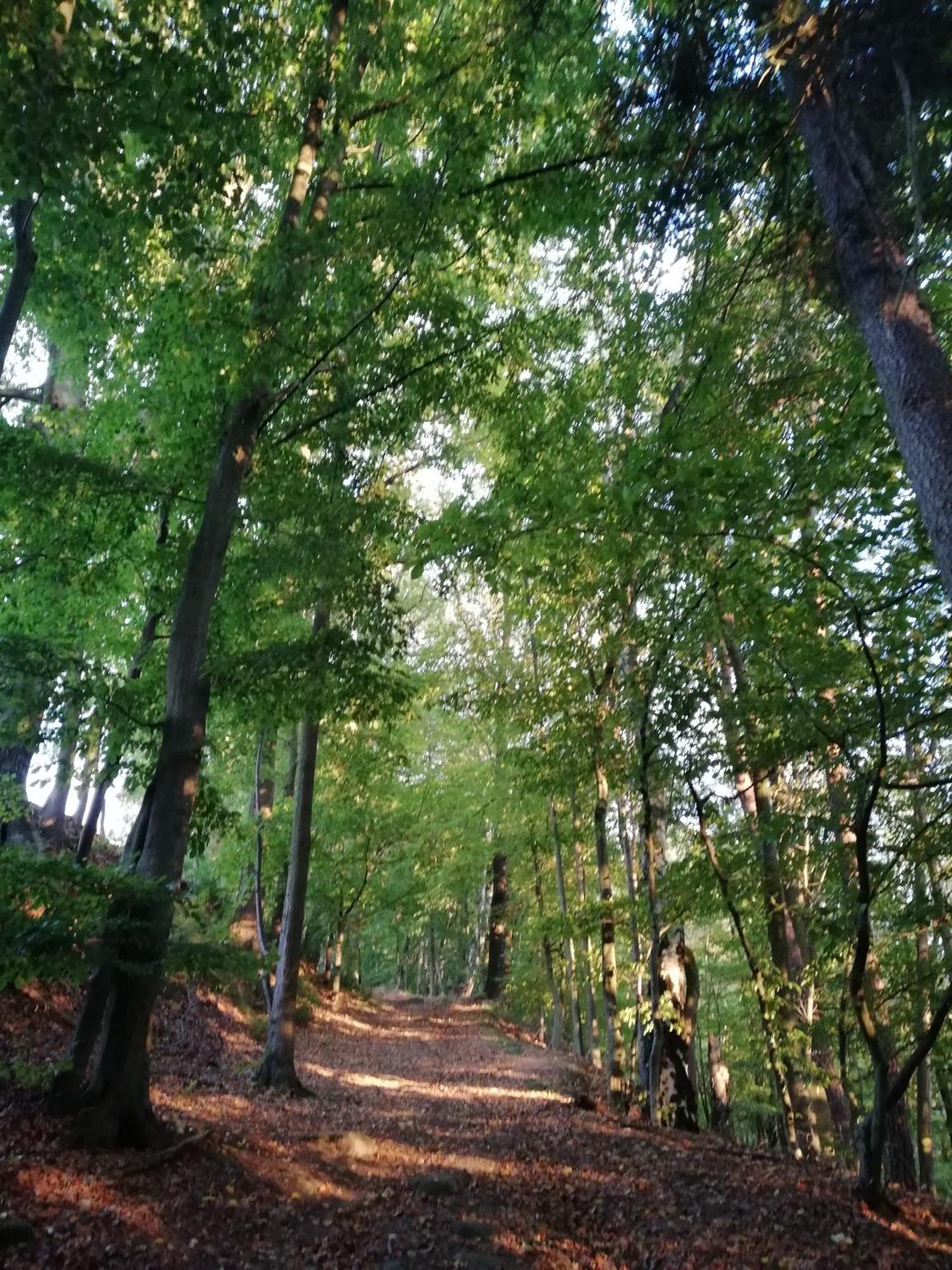 Ferienwohnung Fuer Naturfreunde Rathmannsdorf Екстер'єр фото